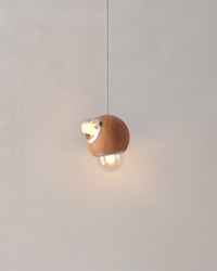 HUMO Pendant Lamp 13