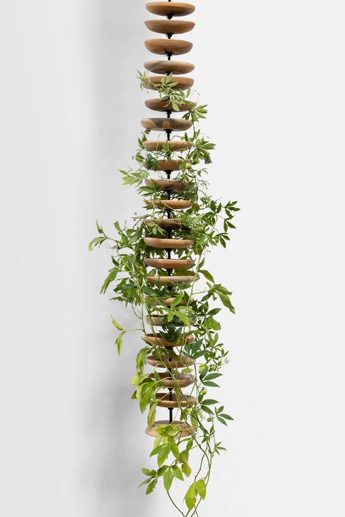 Liana Sculpture