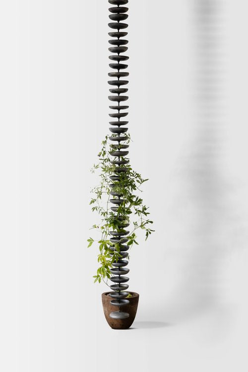 Liana Sculpture