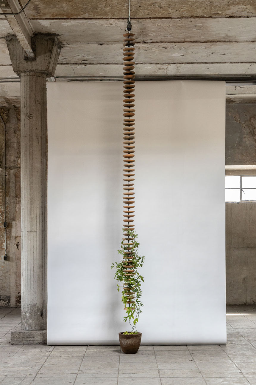 Liana Sculpture