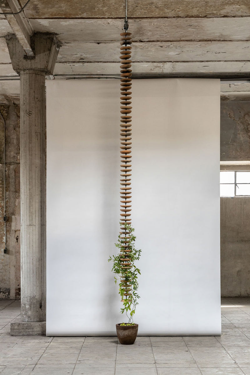 Liana Sculpture
