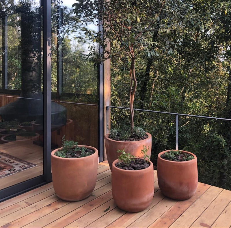CATALINA PLANTER